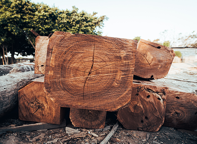 CP Teak Wood
